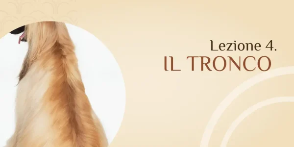 Spazzolatura Tronco