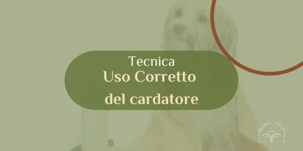 Uso corretto del cardatore