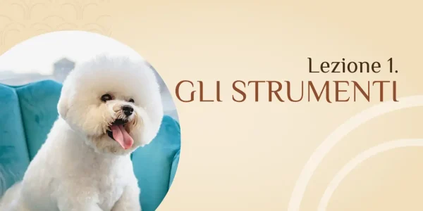 Strumenti di toelettatura e come usarli