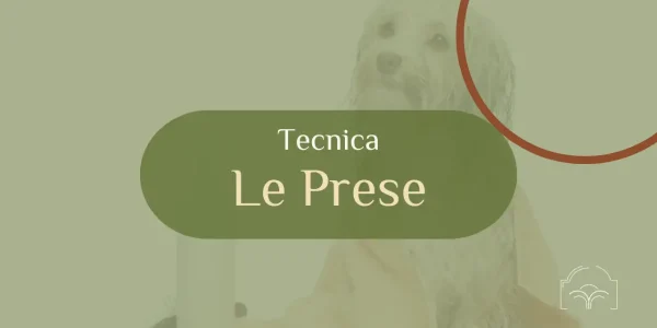 Tecniche di toelettatura, LE PRESE