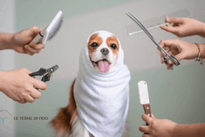 Cane con asciugamano in testa con in torno mani di toelettatori che tengono gli strumenti adatti per la toelettatura